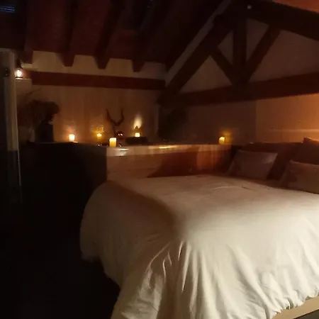 Lo Attic