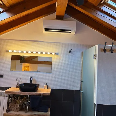 Lo Attic סורט
